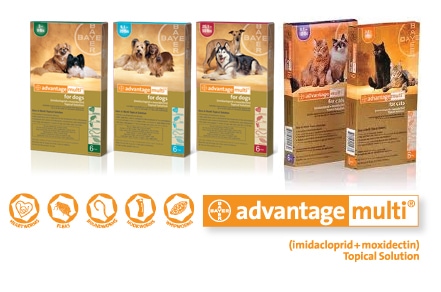 Bravecto for outlet demodex mange