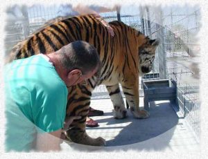 Vaccination Of Zoo Animals Wildlife And Exotic Pets – Ron Hines' Vetspace –  2nd Chance – The Animal Health Website