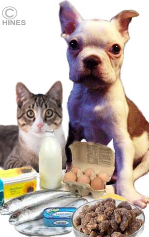 Dog food with high vitamin cheap d