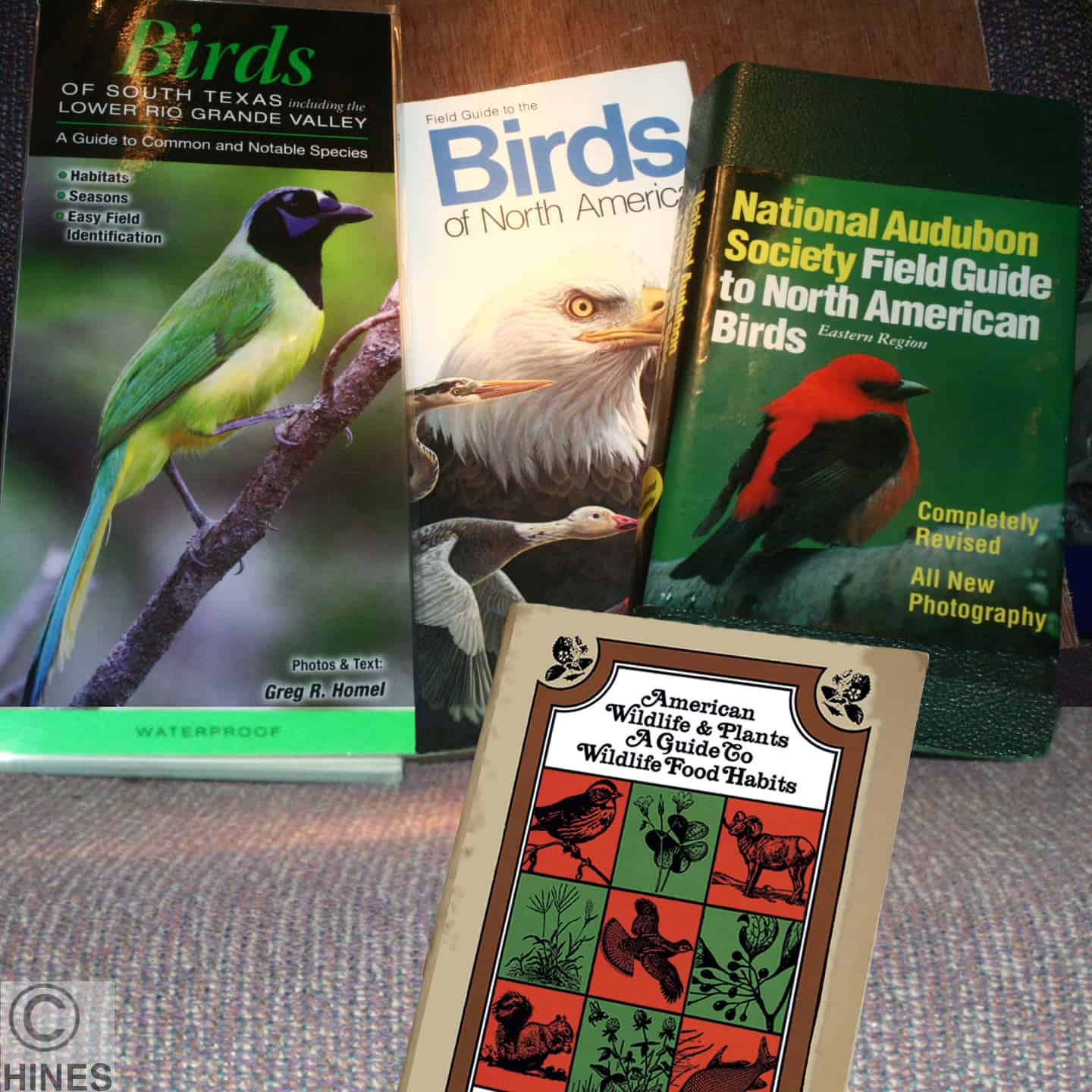A Wildlife Rehabilitator's Guide To Basic And Specialized Supplies – Ron  Hines' Vetspace – 2nd Chance – The Animal Health Website