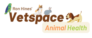 Ron Hines' Vetspace logo